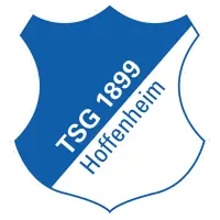 霍芬海姆 (Hoffenheim) logo
